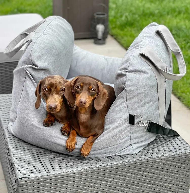 Autostoel Hondenmand First Class - Comfortabel Reiskussen voor Hond of Kat - Verstelbaar Wasbaar Autoreizen