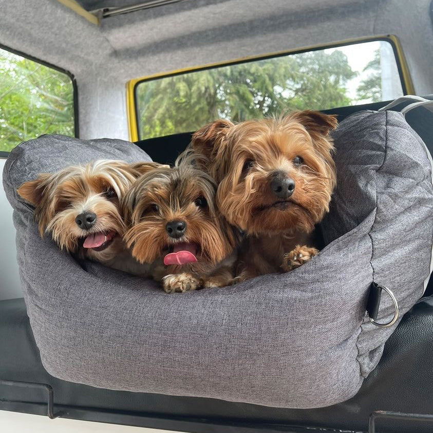 Autostoel Hondenmand First Class - Comfortabel Reiskussen voor Hond of Kat - Verstelbaar Wasbaar Autoreizen