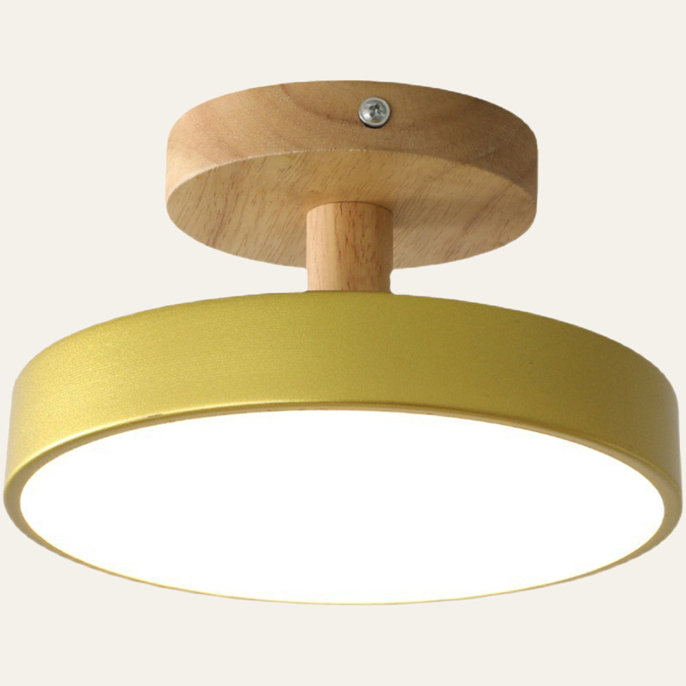 Pedol plafondlamp LED 12W hout groen plafondlamp slaapkamer hal Scandinavisch design moderne verlichting kleine ruimtes