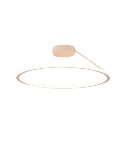 Moderne Plafondlamp Ring Minimalistisch Design Zwart Wit Goud S M L Dimbaar LED Sfeerverlichting Woonkamer Slaapkamer Eetkamer Scandinavische Stijl