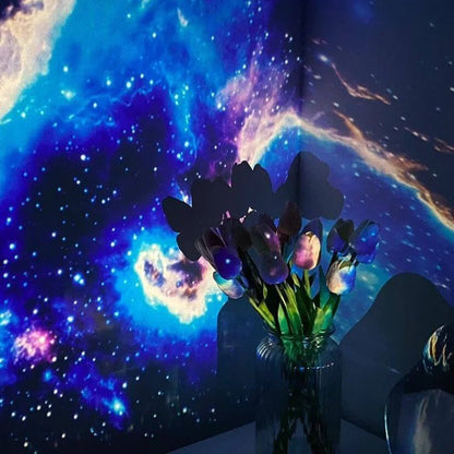 Sterrenhemel Projector Galaxy Lamp Met Nevel Effect En LED Kleuren