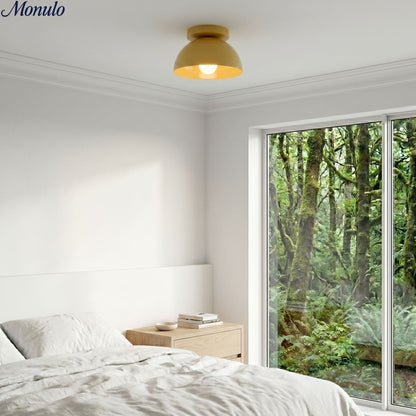 Minimalistische Plafondlamp Dome voor Compacte Ruimtes – Opbouwspot Beschikbaar in Meerdere Kleuren