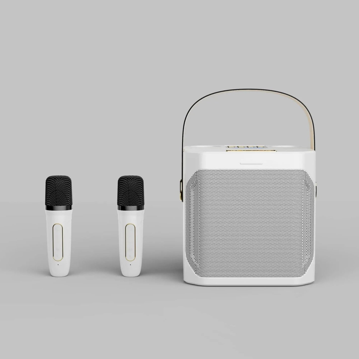 Karaoke Bluetooth Luidspreker Met 2 Microfoons 360° Stereo Surround