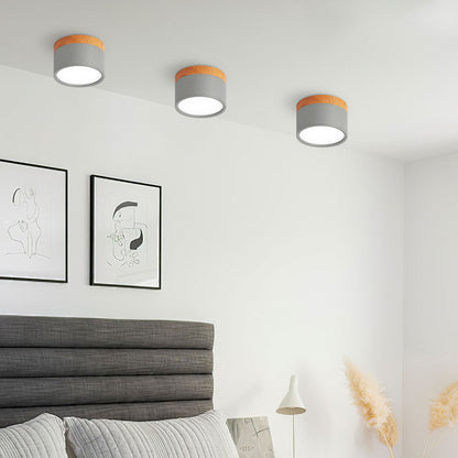 Cylinder kleine plafondlamp LED hout modern plafond hal woonkamer compact design