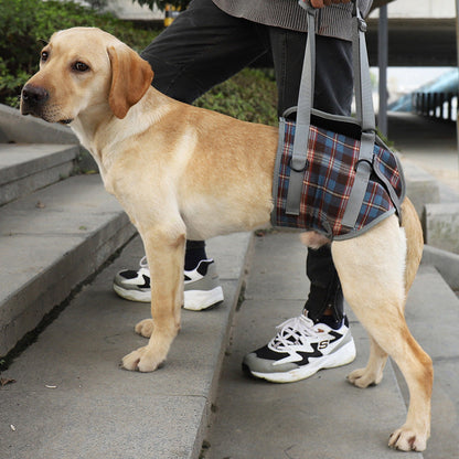 Orthopedisch Hondenharnas voor Voor- en Achterpoten - Draagbare Loophulp met Verstelbare Riemen voor Honden met Gewrichtsproblemen