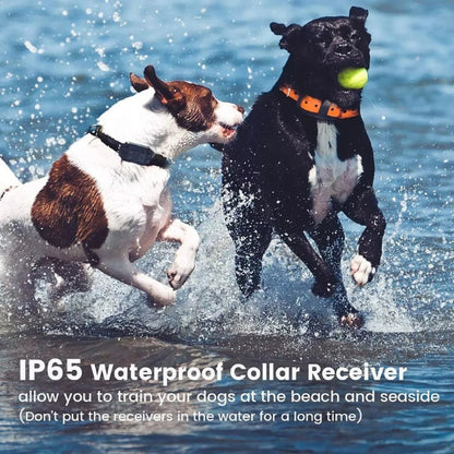 Hondentraining Afstandsbediening Halsband met Trillen en Geluid 800m Bereik Oplaadbaar Waterdicht