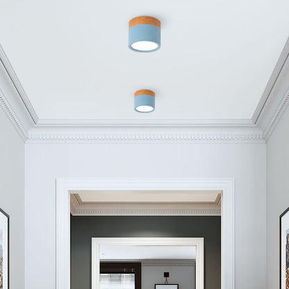 Cylinder kleine plafondlamp LED hout modern plafond hal woonkamer compact design