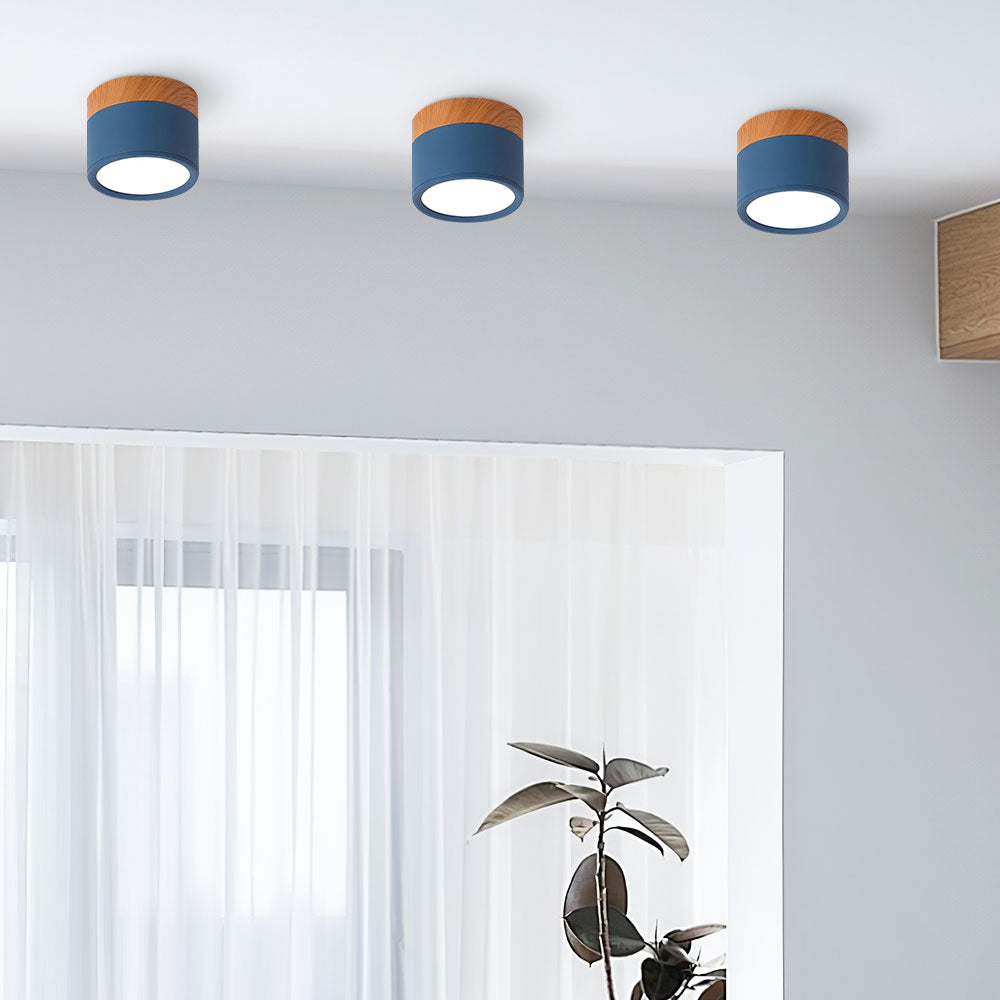Cylinder kleine plafondlamp LED hout modern plafond hal woonkamer compact design