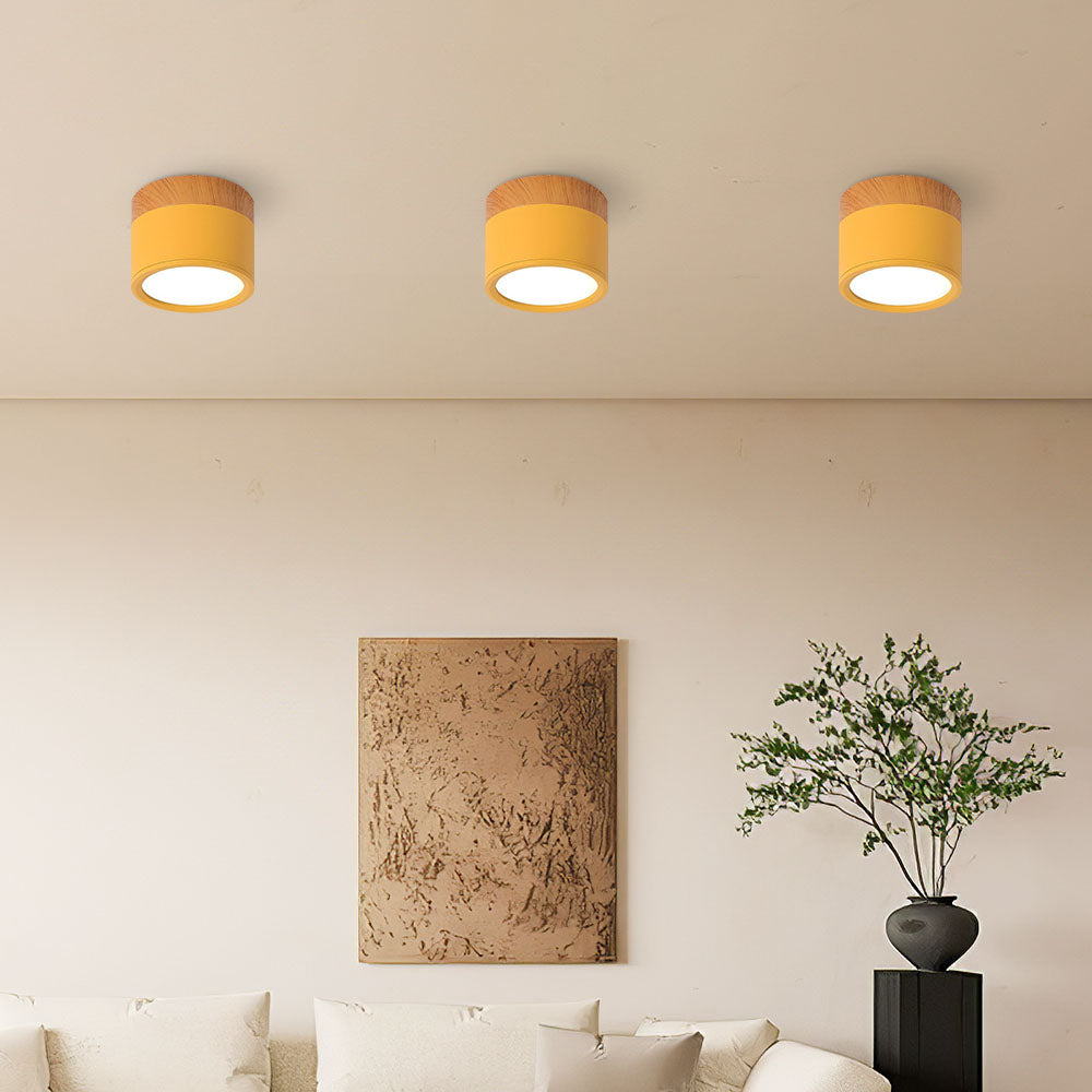 Cylinder kleine plafondlamp LED hout modern plafond hal woonkamer compact design