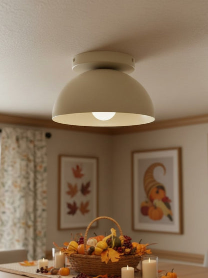 Minimalistische Plafondlamp Dome voor Compacte Ruimtes – Opbouwspot Beschikbaar in Meerdere Kleuren