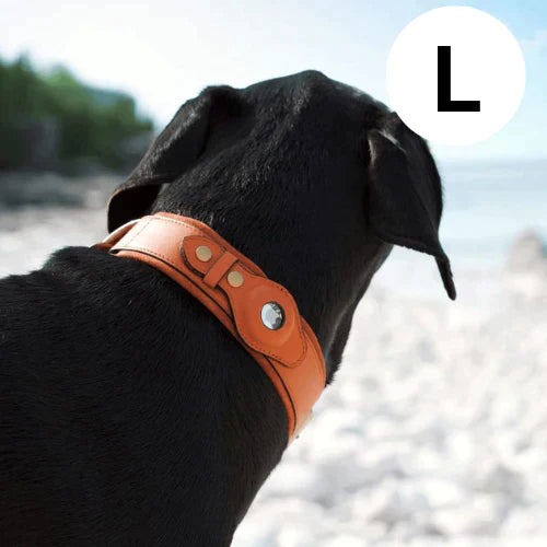 GPS-hondenhalsband met wereldwijde tracking zonder abonnement voor veilige wandelingen en volledige controle over je hond