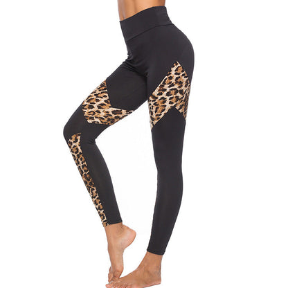 Dames Legging Hoge Taille Luipaard Print Sportief