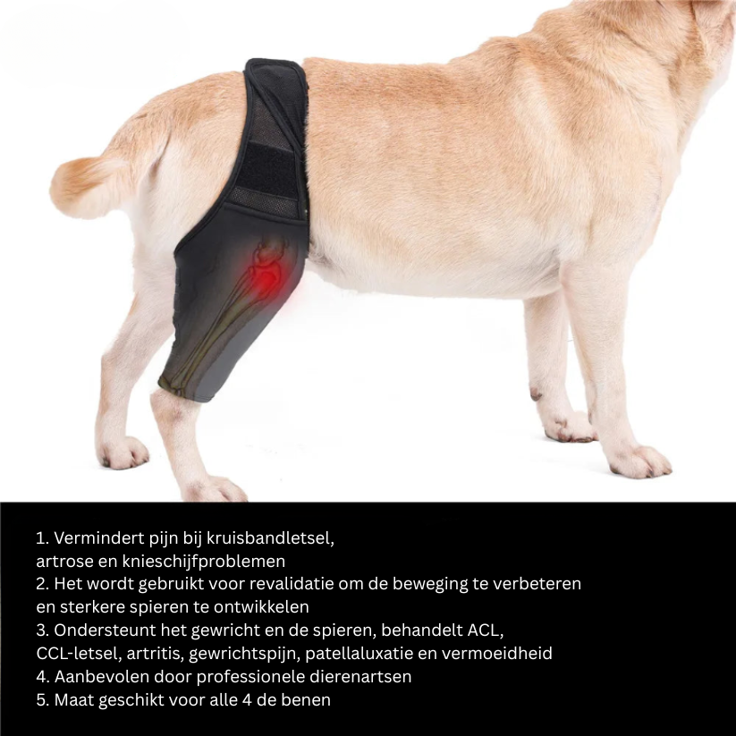 Hondenknie Ondersteuningsbrace Neopreen | Rehabilitatie Gewrichtsklachten | Verstelbare Stabilisator Voorpoot Achterpoot | Extra Grote Maat