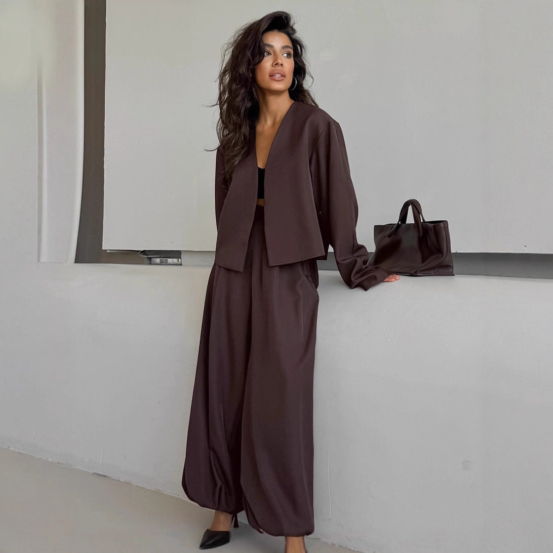 Dames Blazer Set Wijde Broek Modern Tweedelig