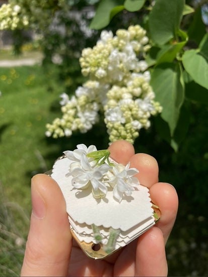 Mini Bloempers Compacte Botanische Herbarium Pers Draagbaar Bloemen Drogen Handwerk Tool Bladeren Persen Natuurbewaartool
