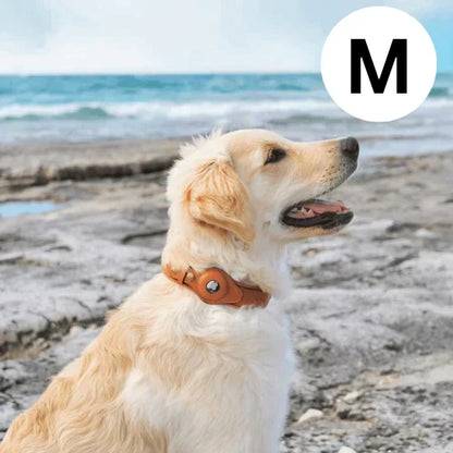 GPS-hondenhalsband met wereldwijde tracking zonder abonnement voor veilige wandelingen en volledige controle over je hond