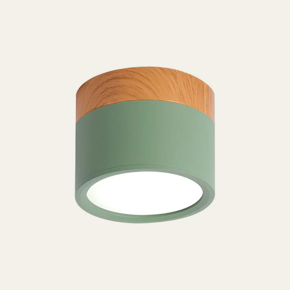 Cylinder kleine plafondlamp LED hout modern plafond hal woonkamer compact design