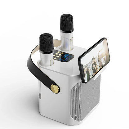 Karaoke Bluetooth Luidspreker Met 2 Microfoons 360° Stereo Surround