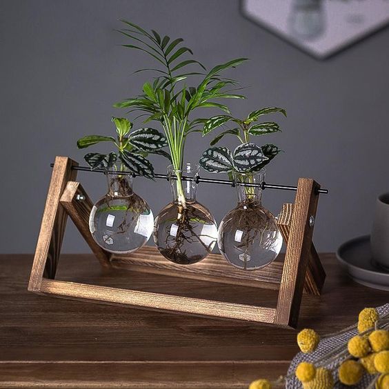 Houten Stekjesstandaard voor Plantenstekjes met Glazen Buisjes | Vintage Decoratie voor Tafel
