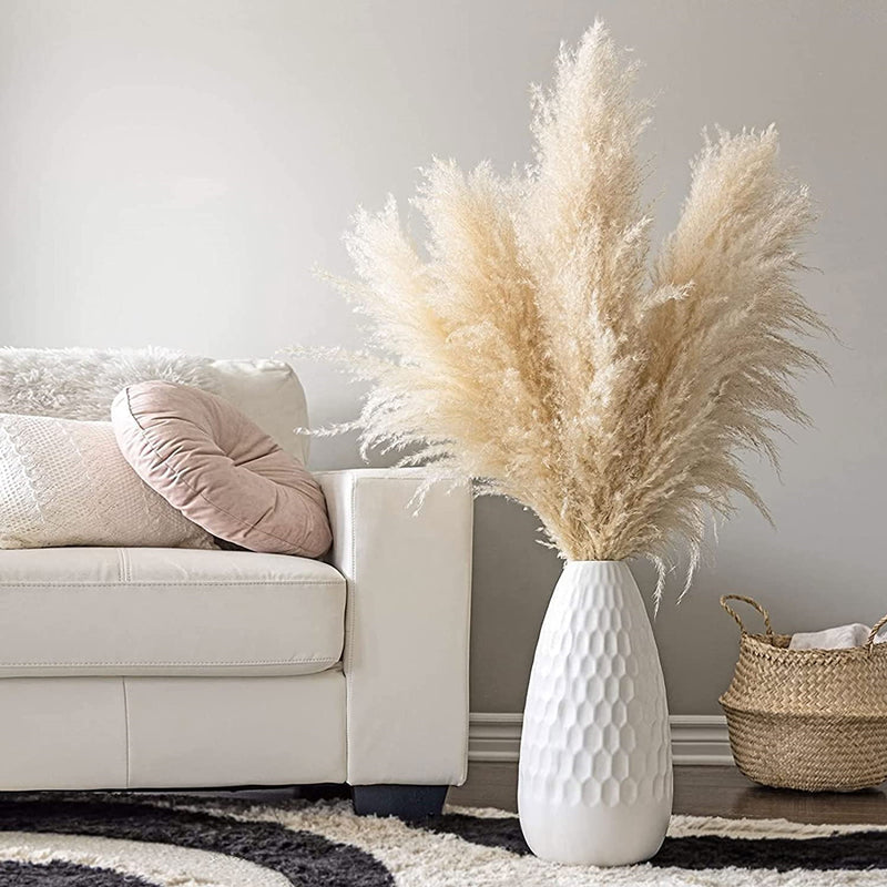 Gedroogde Pampagras Pluimen 10-Delige Set Natuurlijk Decoratief Siergras
