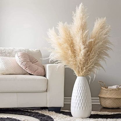 Gedroogde Pampagras Pluimen 10-Delige Set Natuurlijk Decoratief Siergras