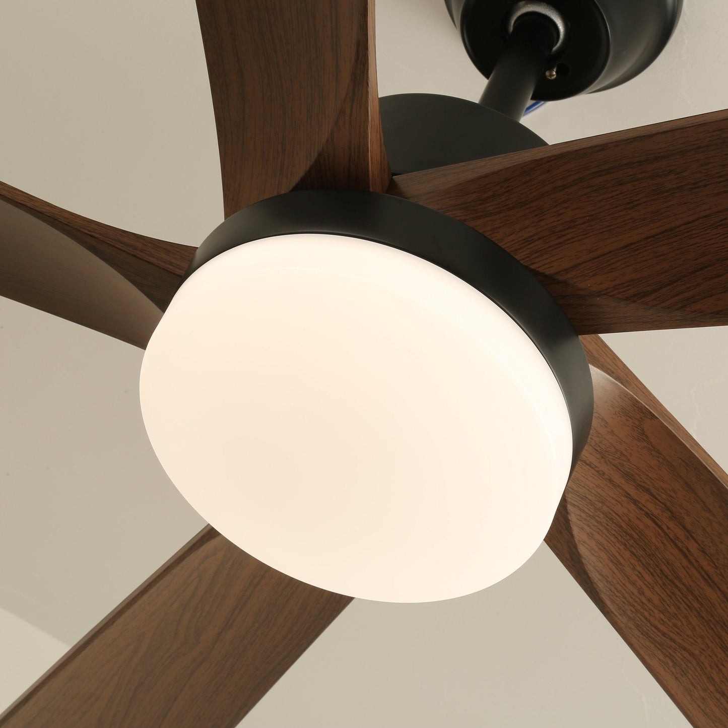 Moderne plafondventilator met verlichting en houten bladen – 6 snelheden LED plafondventilator hout – stil plafond ventilator met afstandsbediening – Scandinavische ventilatorlamp zwart en walnoot voor woonkamer slaapkamer
