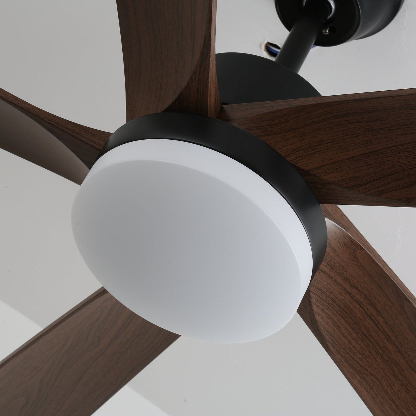 Moderne plafondventilator met verlichting en houten bladen – 6 snelheden LED plafondventilator hout – stil plafond ventilator met afstandsbediening – Scandinavische ventilatorlamp zwart en walnoot voor woonkamer slaapkamer