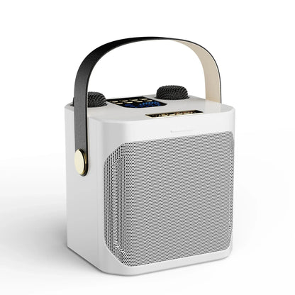 Karaoke Bluetooth Luidspreker Met 2 Microfoons 360° Stereo Surround