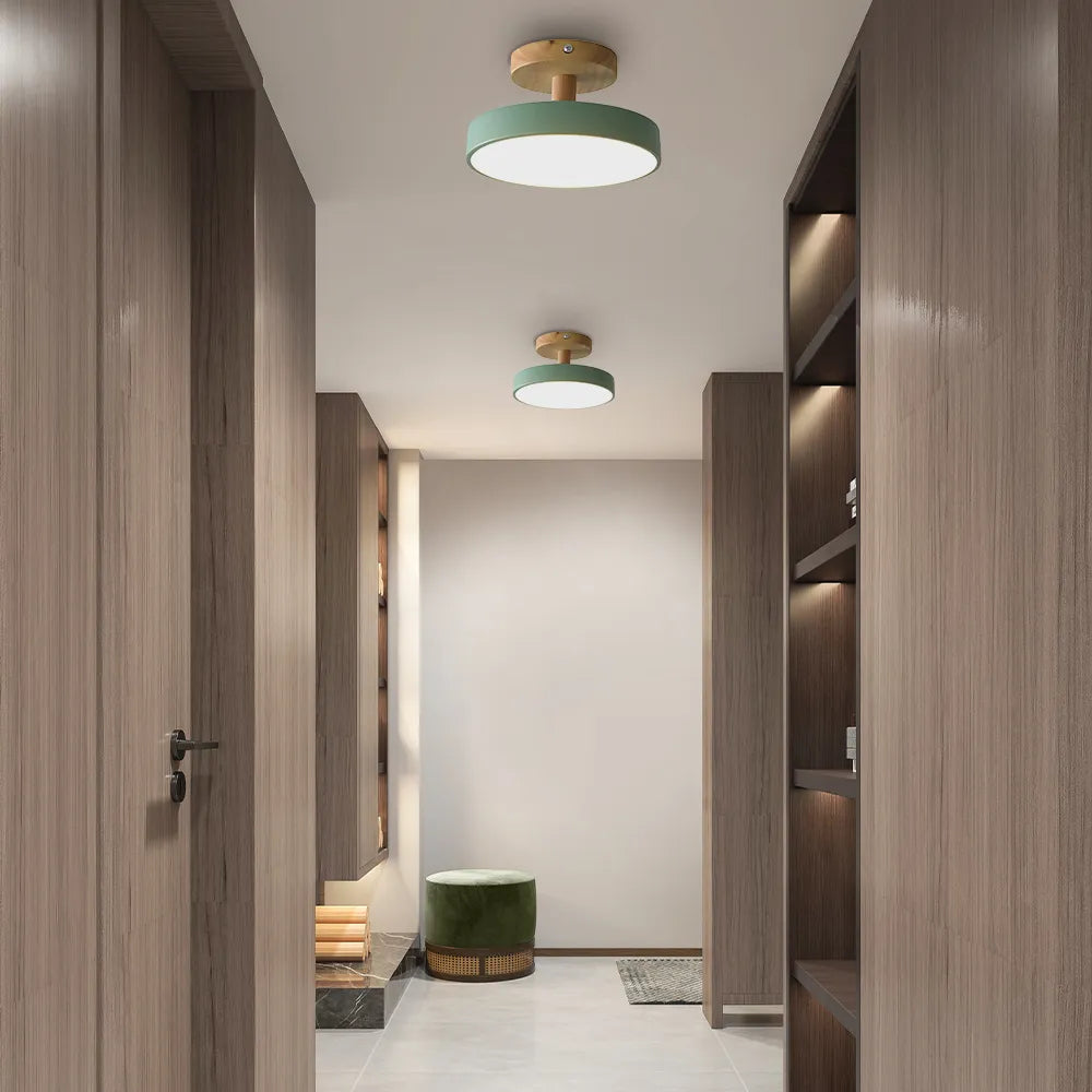 Pedol plafondlamp LED 12W hout groen plafondlamp slaapkamer hal Scandinavisch design moderne verlichting kleine ruimtes
