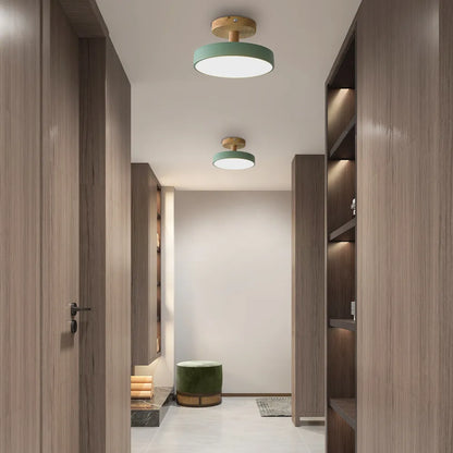 Pedol plafondlamp LED 12W hout groen plafondlamp slaapkamer hal Scandinavisch design moderne verlichting kleine ruimtes