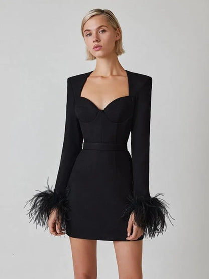 Korte Jurk voor Vrouwen met Veer Details Elegante Minirok