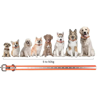 Trainingshalsband voor Honden met Afstandsbediening 1000m Bereik Oplaadbaar Waterdicht IP67 Verstelbaar 20-65cm Trillingen Geluid Stimulatie 9 Intensiteitsniveaus Geschikt 5-50kg