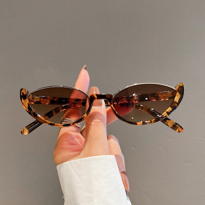 Dames Zonnebril Cat Eye Glazen Trendy Stijl