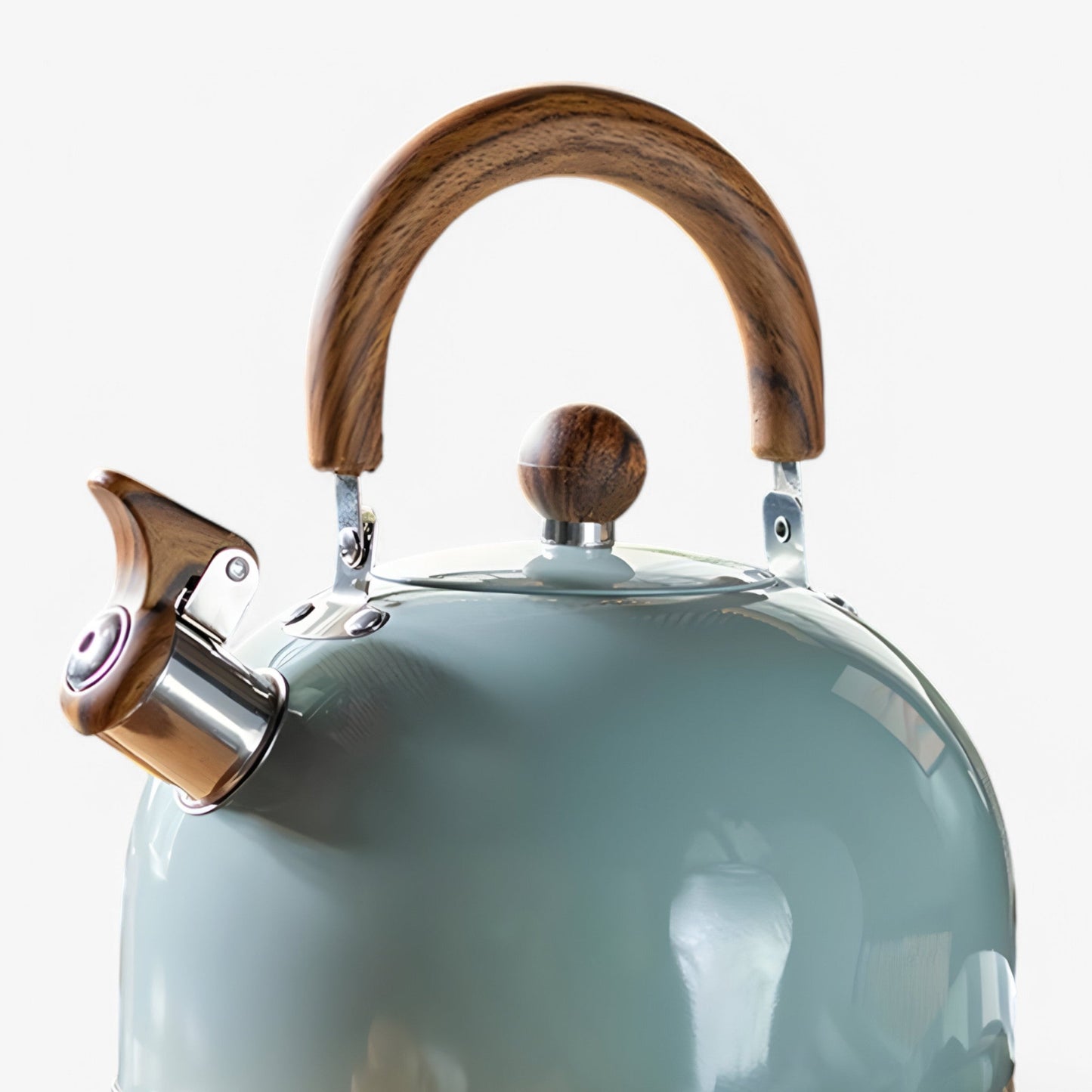 Fluitketel voor Inductie 2,5L – Elegante RVS Waterketel met Veilig Handvat