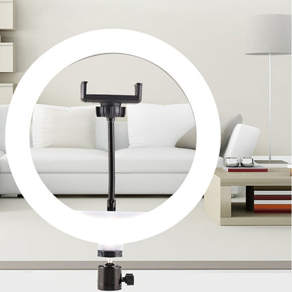 LED-ringlamp 26 cm met verstelbaar statief 55 cm voor fotografie en video