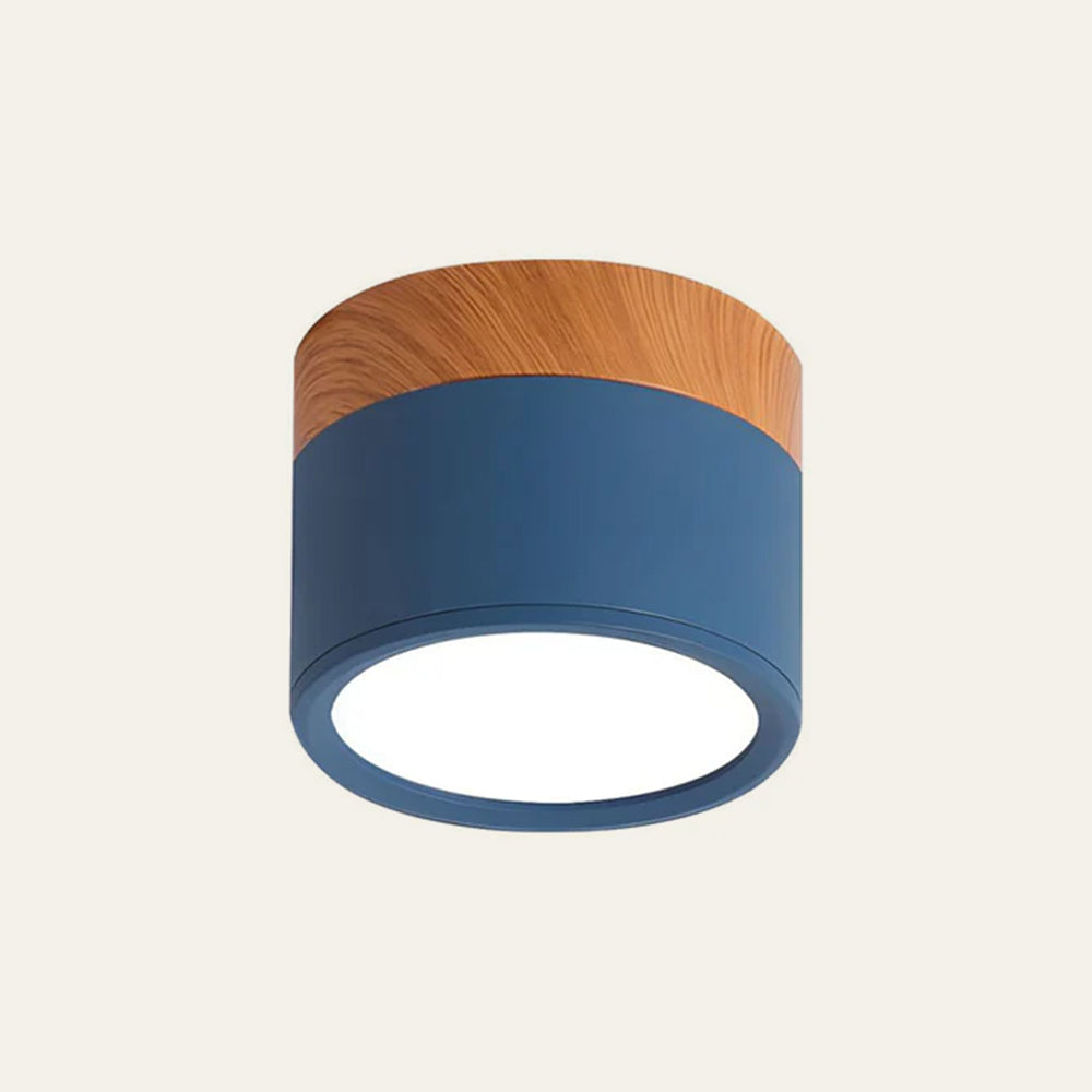 Cylinder kleine plafondlamp LED hout modern plafond hal woonkamer compact design