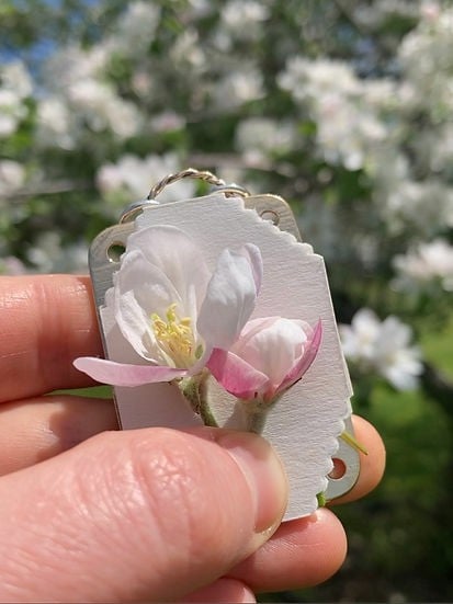 Mini Bloempers Compacte Botanische Herbarium Pers Draagbaar Bloemen Drogen Handwerk Tool Bladeren Persen Natuurbewaartool