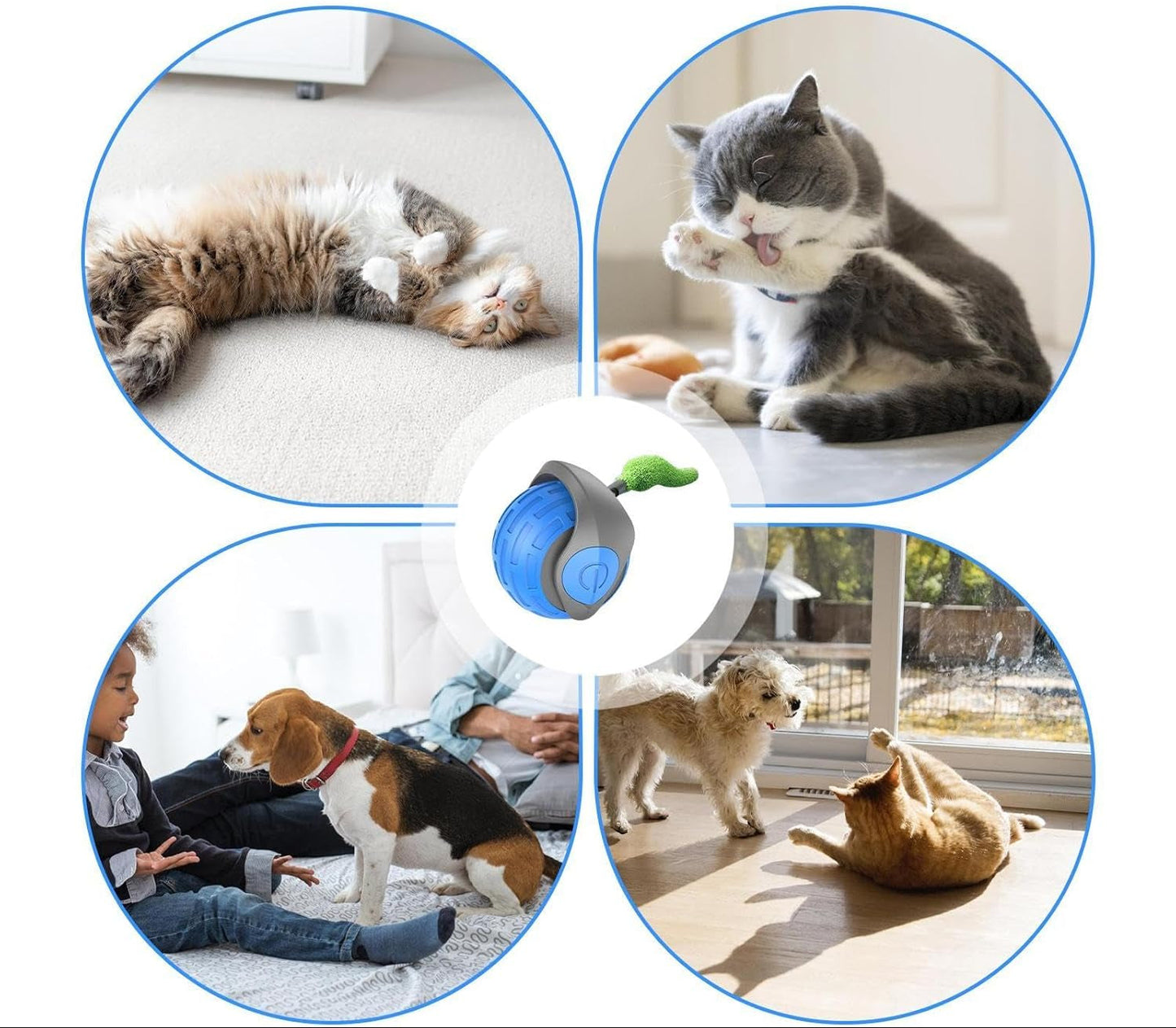 Interactieve Kattenspeelbal met Bewegingssensor en Veer – Autonoom Speelgoed