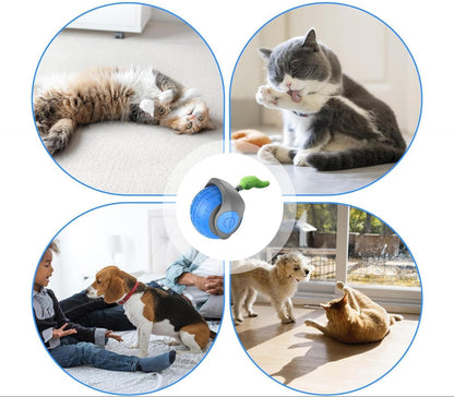 Interactieve Kattenspeelbal met Bewegingssensor en Veer – Autonoom Speelgoed