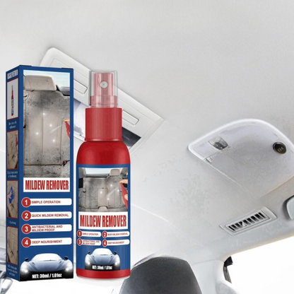 Schimmelverwijderaar Spray voor Auto 2 Stuks – Geschikt voor Leer, Stof en Kunststof Interieur