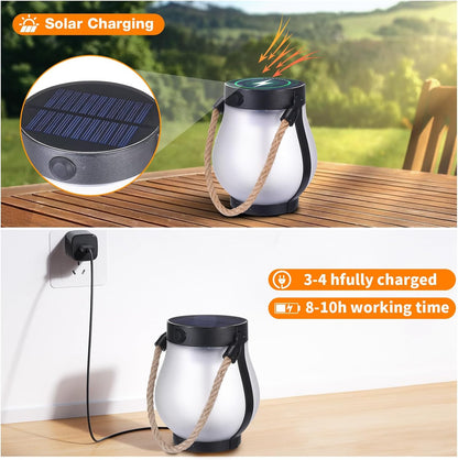 Solar Lantaarn met Vlameffect LED Verlichting Inclusief USB Oplaadoptie Weersbestendig Tuinverlichting Automatische Schemersensor Draadloos Buiten Terras Balkon