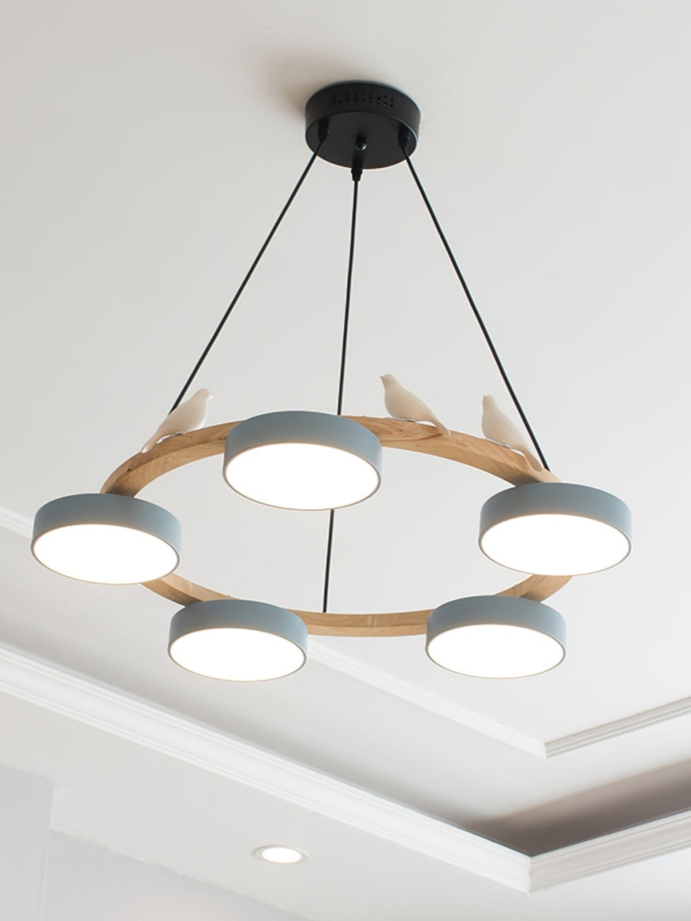 Decoratieve Vogelkroonluchter met Gekleurde Cirkels voor Eetkamer en Woonkamer