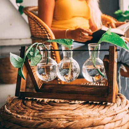 Houten Stekjesstandaard voor Plantenstekjes met Glazen Buisjes | Vintage Decoratie voor Tafel