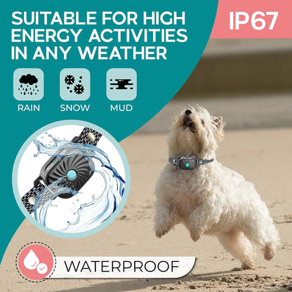 Anti-blaf Halsband voor Kleine Honden met Trillingen en Geluid | Verstelbaar 15-50 cm | Waterdicht IP87 | Hondentraining Oplossing