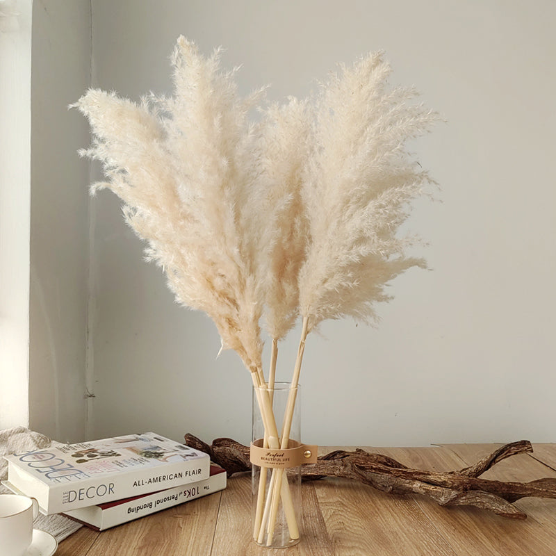Gedroogde Pampagras Pluimen 10-Delige Set Natuurlijk Decoratief Siergras