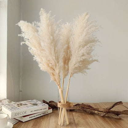 Gedroogde Pampagras Pluimen 10-Delige Set Natuurlijk Decoratief Siergras