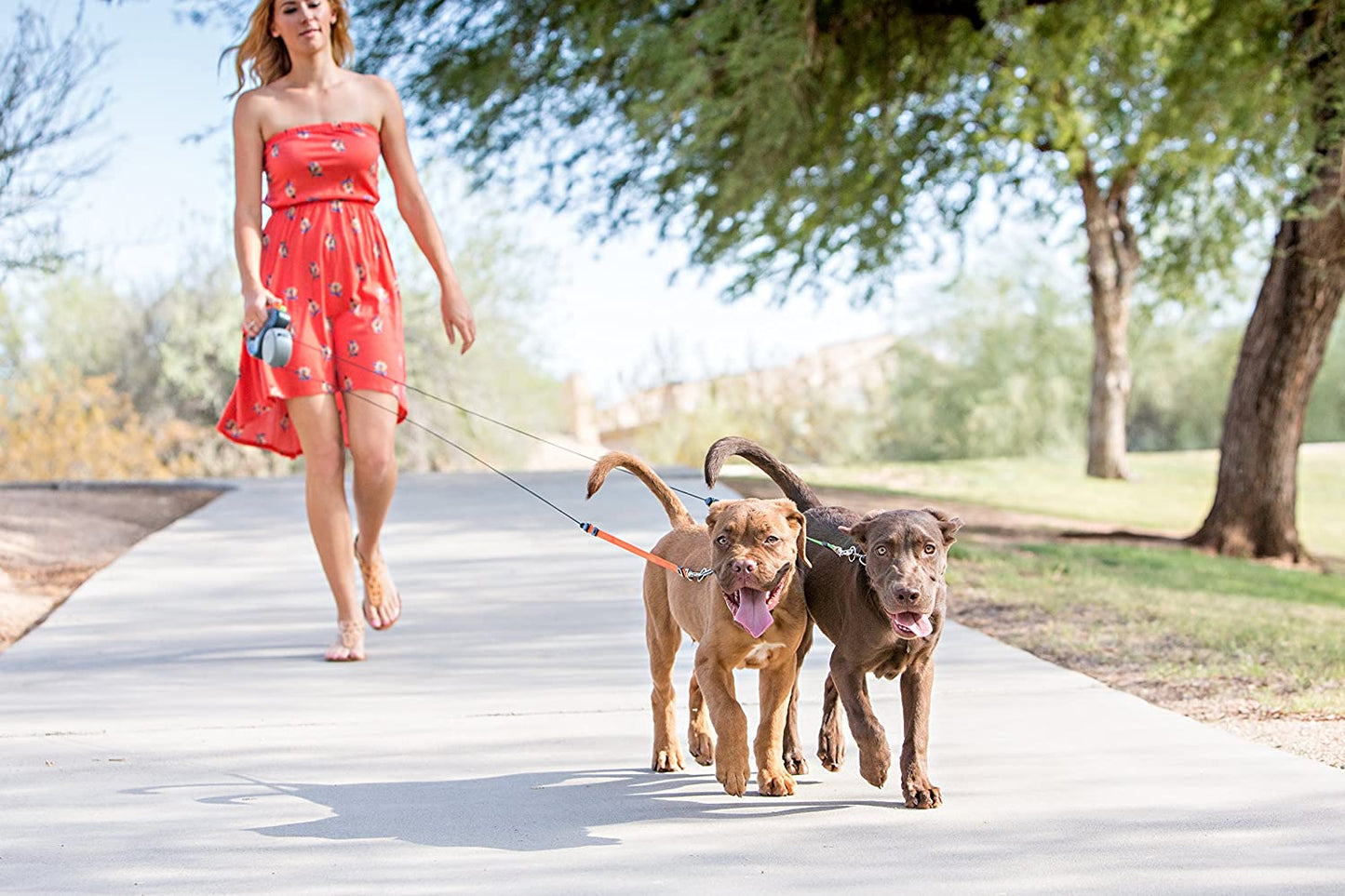 Hondenriem voor Twee Honden met 360° Antiklit Systeem 3 Meter Reflecterend