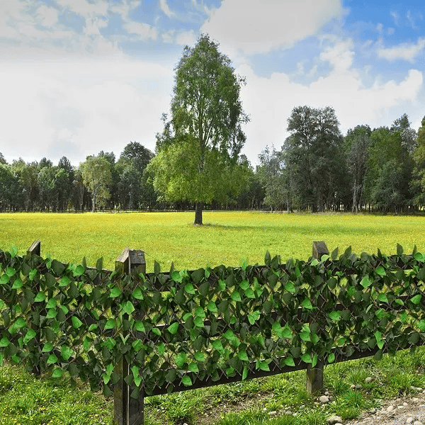 Kunstklimop Haag Uitschuifbare Tuinafscheiding Privacy Scherm Groen Bladerdek Flexibel 300x50cm