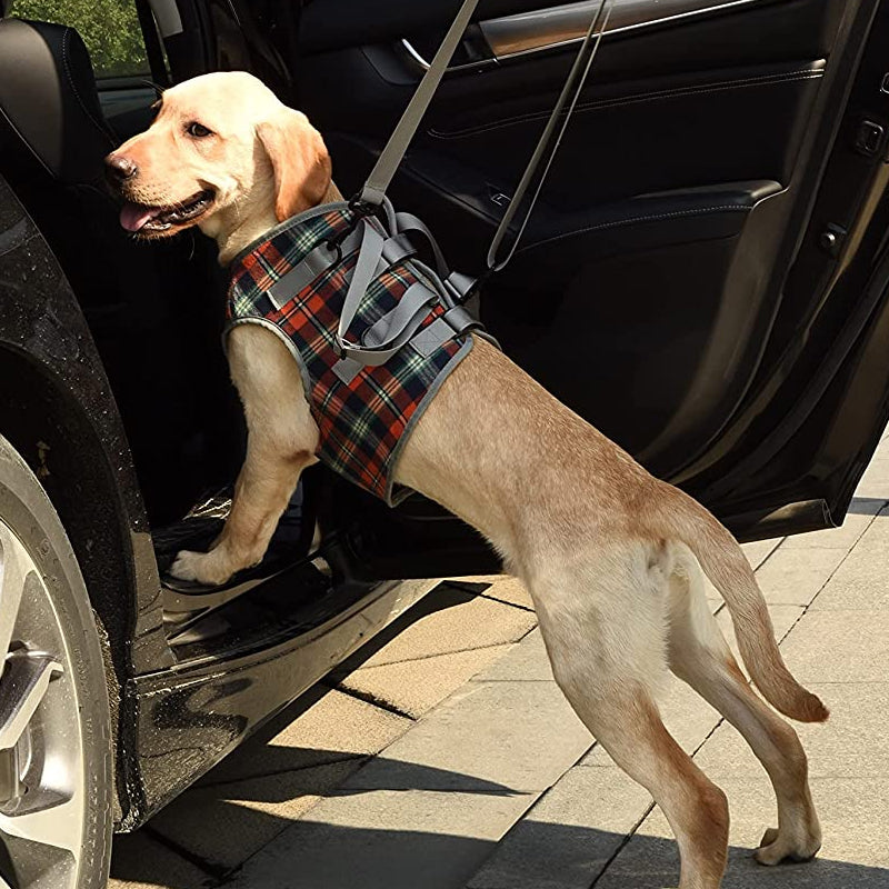 Orthopedisch Hondenharnas voor Voor- en Achterpoten - Draagbare Loophulp met Verstelbare Riemen voor Honden met Gewrichtsproblemen
