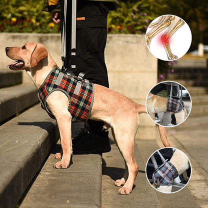 Orthopedisch Hondenharnas voor Voor- en Achterpoten - Draagbare Loophulp met Verstelbare Riemen voor Honden met Gewrichtsproblemen